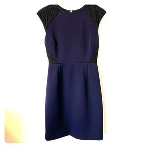 J Crew Dress